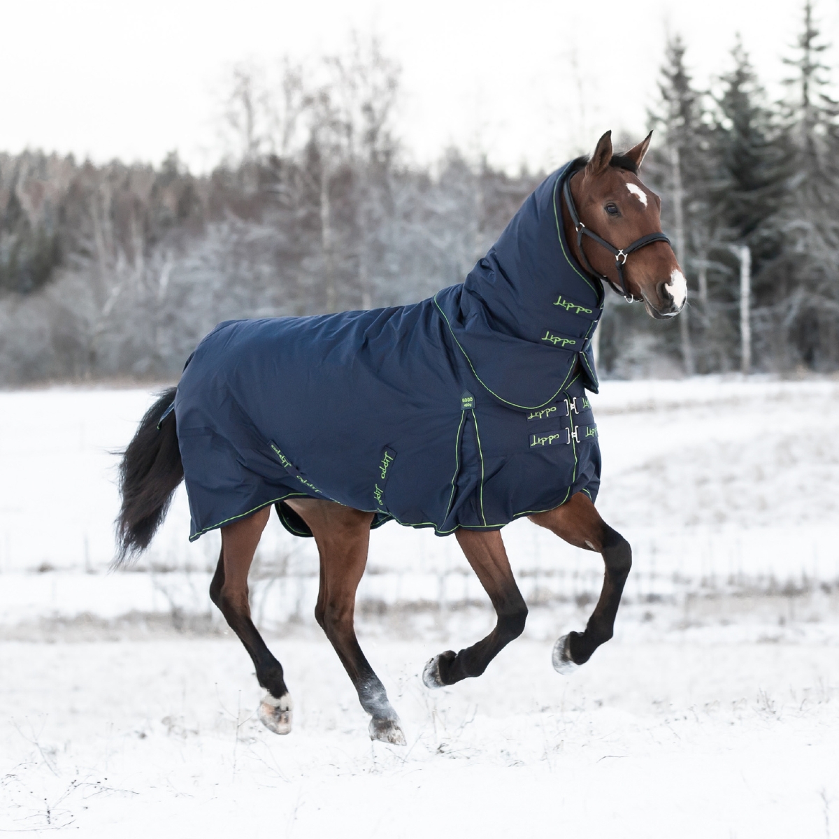 Vinterdekken Basic Plus 400 g