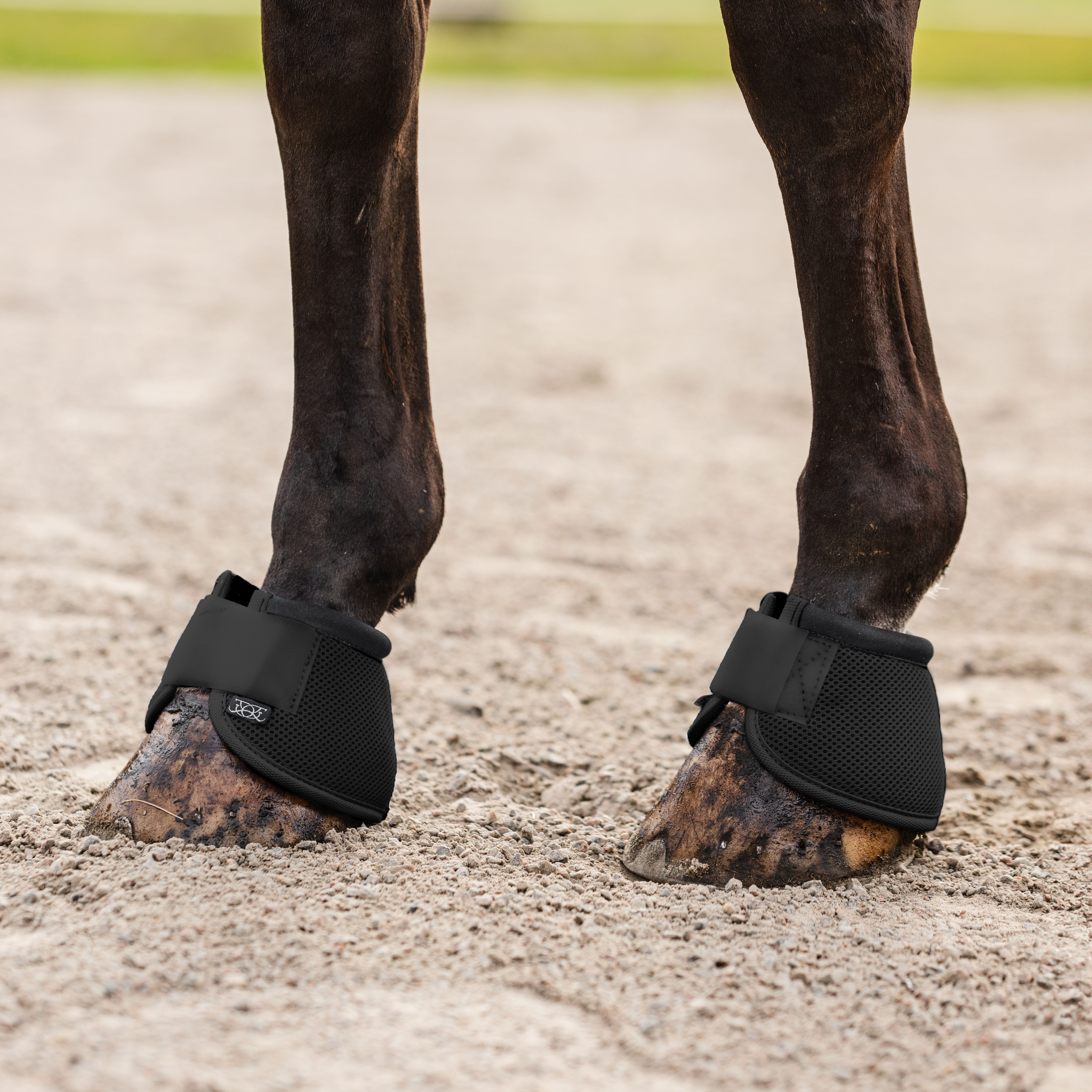 Boots Defense