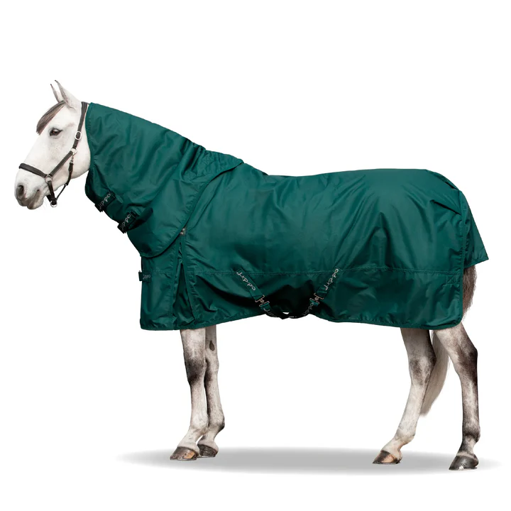 Lippo täcke Basic Plus Special Edition