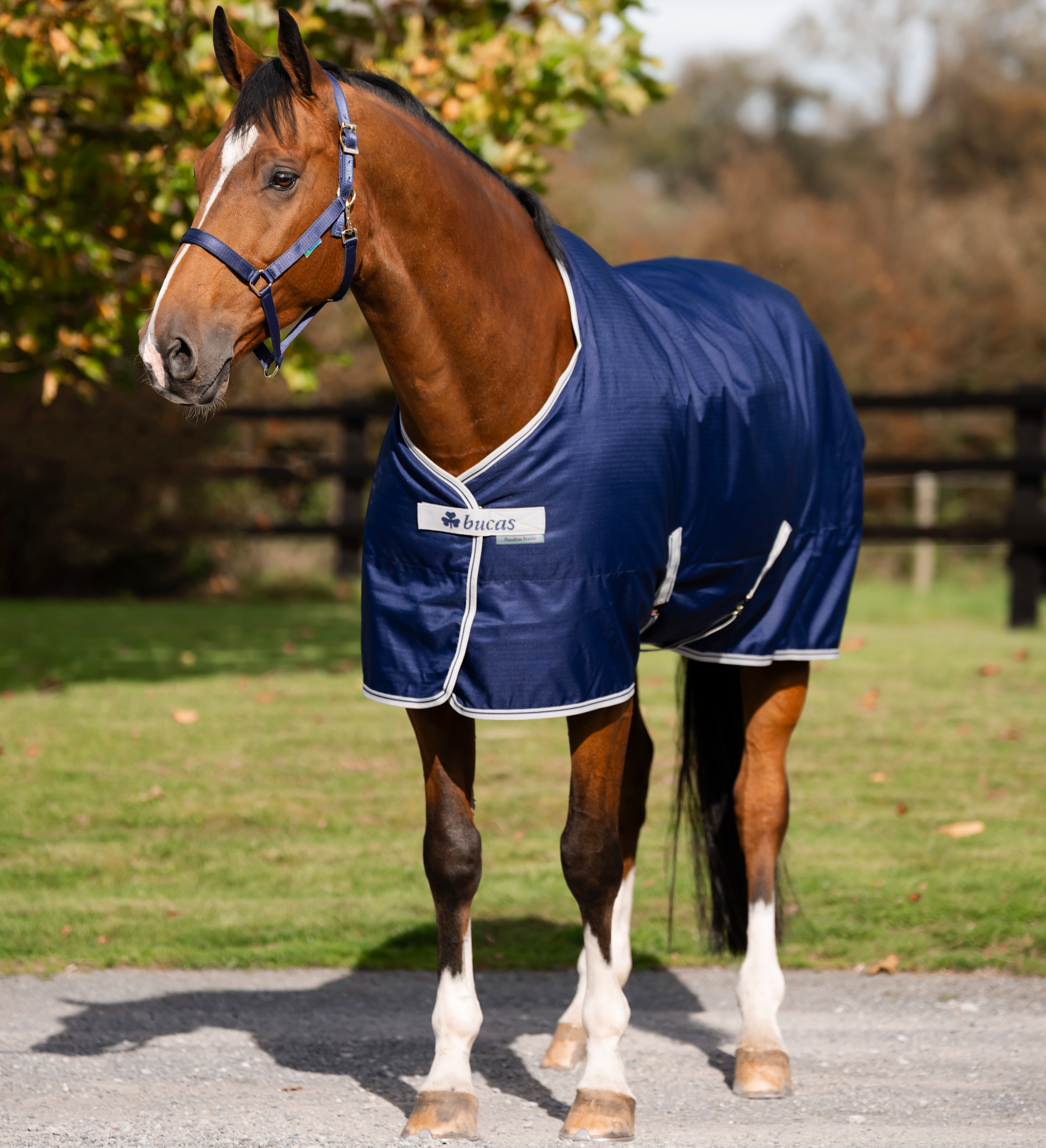 Stalldekken Freedom 150 g