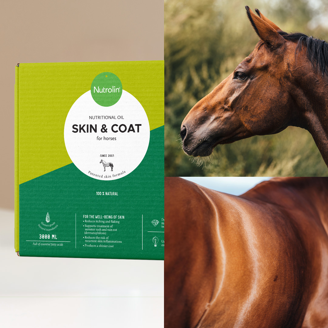 Horse Skin & Coat