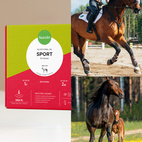 Horse Sport