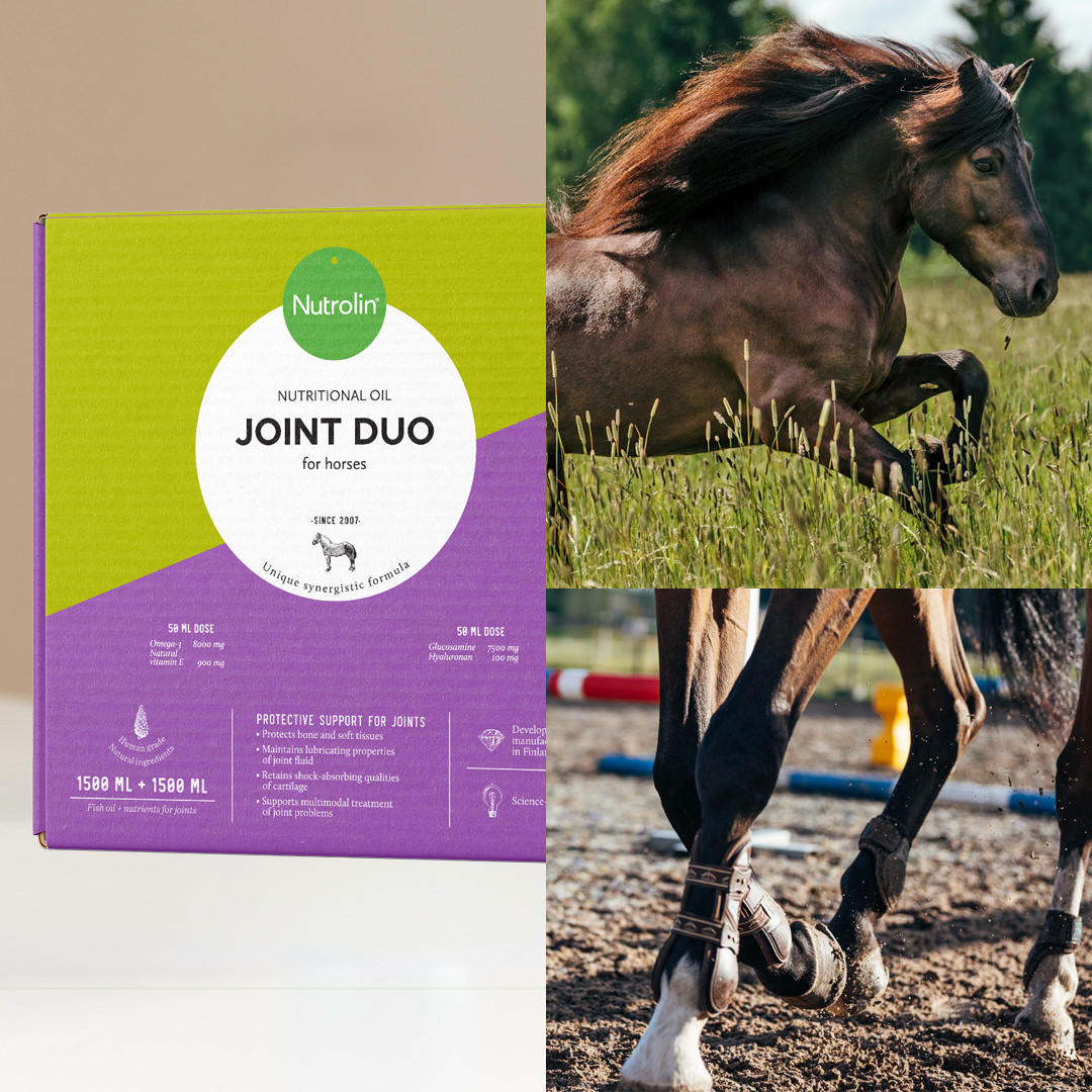 Horse Joint Duo