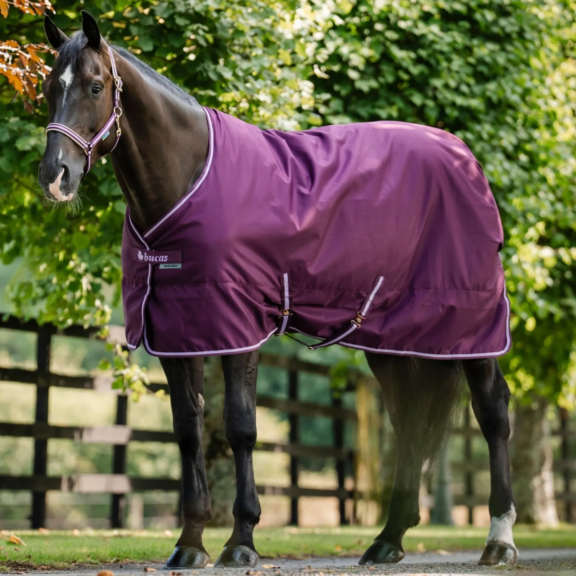 Stalldekken Freedom 150 g