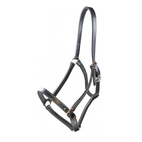 Ardennrgrime svart lær