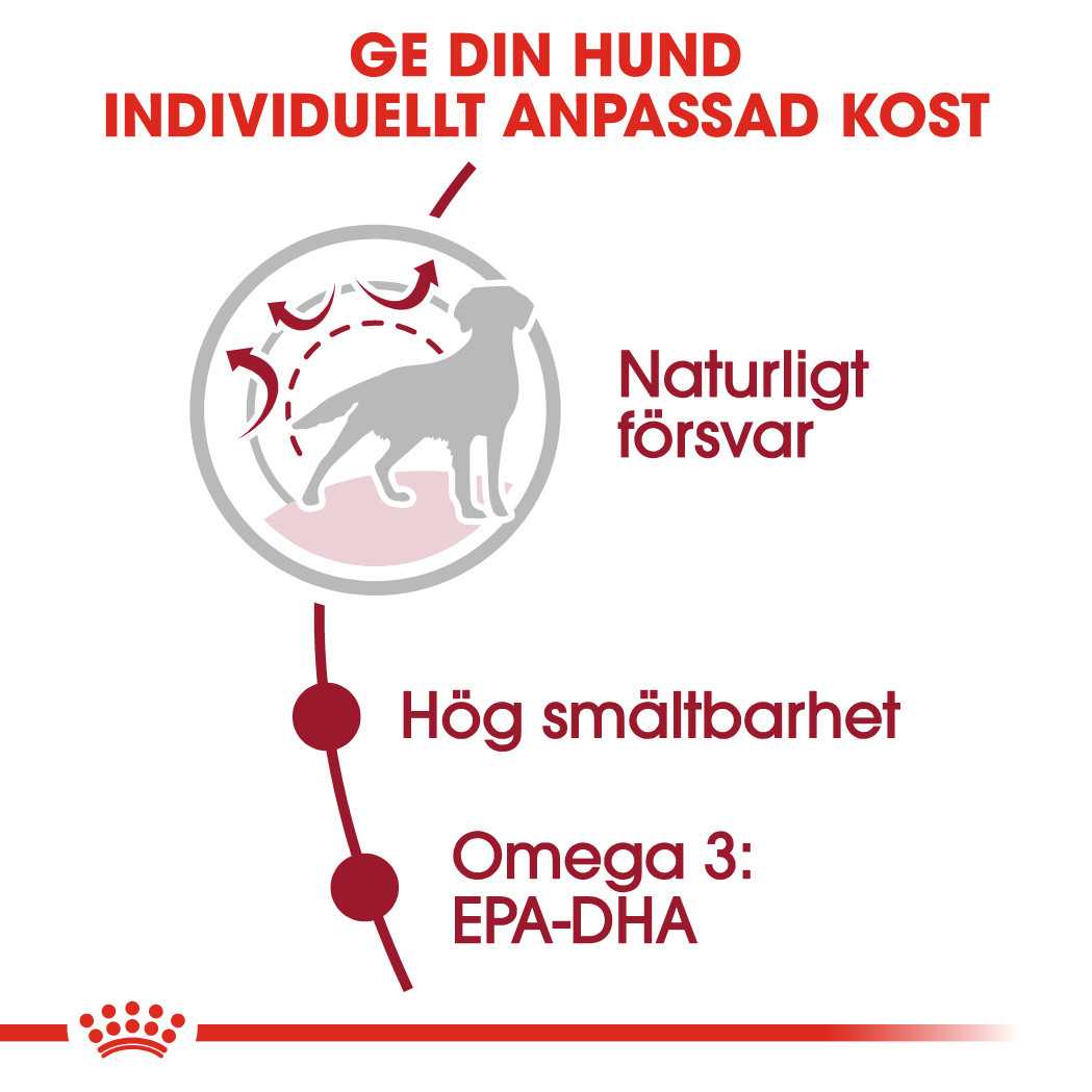 Medium adult royal canin 4 kg