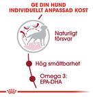 Medium adult royal canin 4 kg