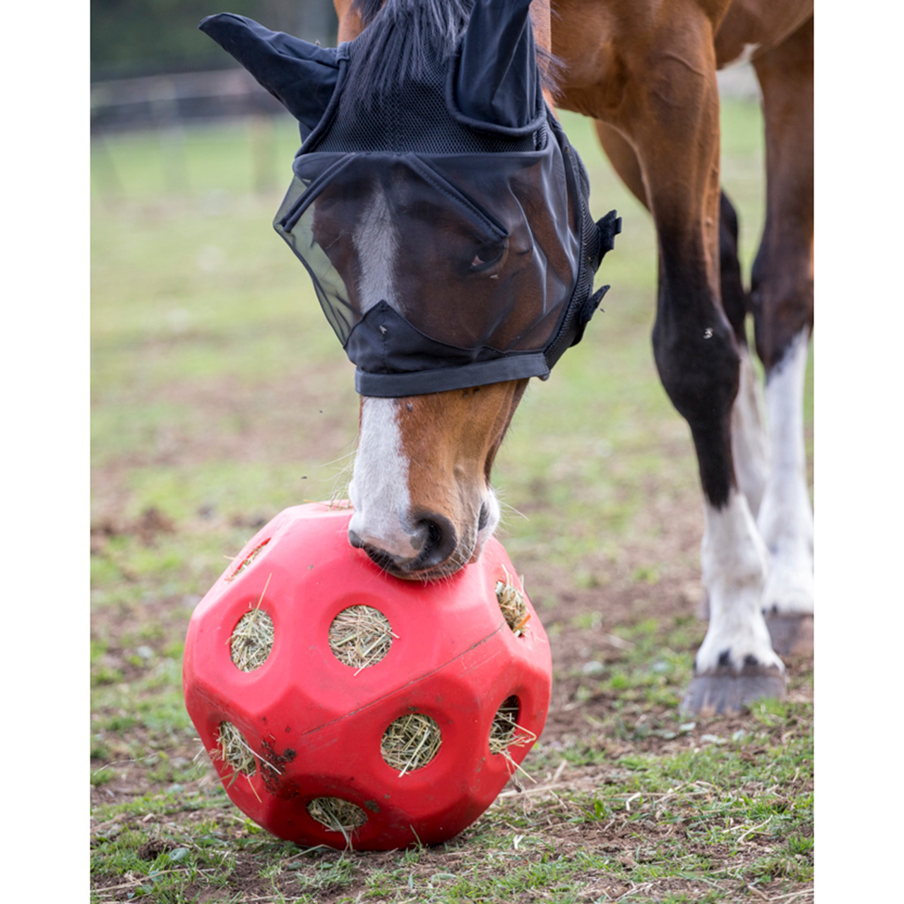 HØYBALL RØD